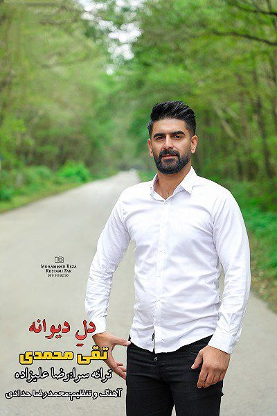 تقی محمدی دل دیوانه